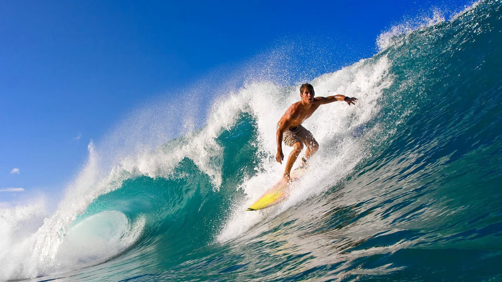 伊朗马术协会与欧洲马术协会签署合作协议,共同举办国际赛事。