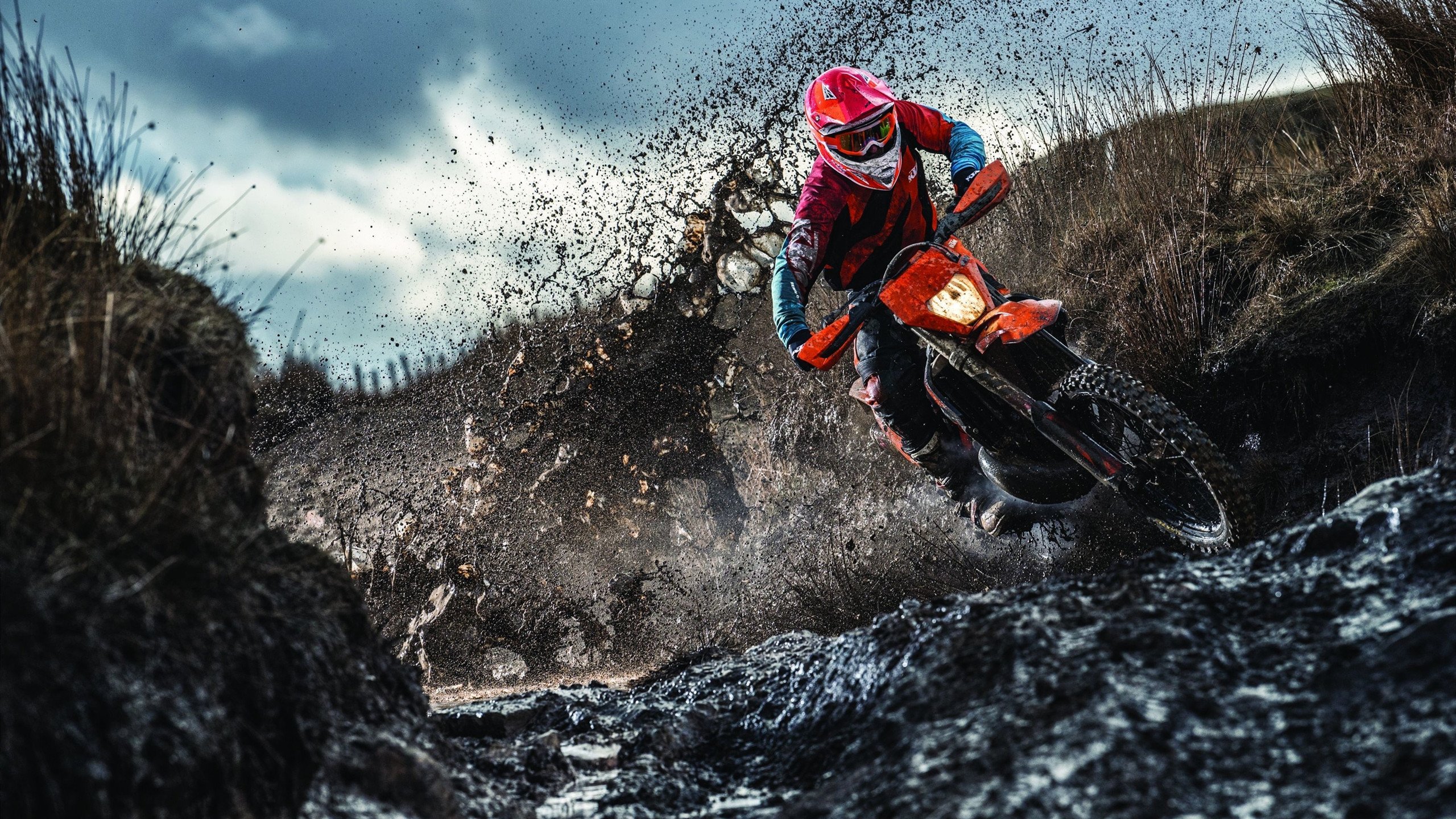 冠军背后:领袖球员的拼搏岁月,冠军的背后是强大的体魄